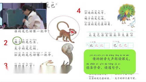 知形声规律，为汉字添灵拓域——以“动物儿歌”为例-部编版小学语文一年级下册创新应用教学案例