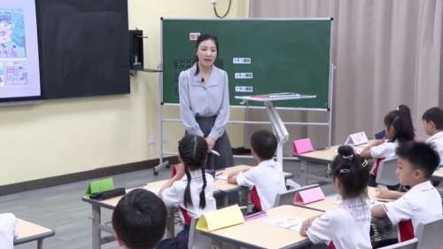 《逐层分类》人教版二上数学2025新教材展示课视频