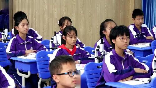 《观察植物细胞的基本结构》人教版