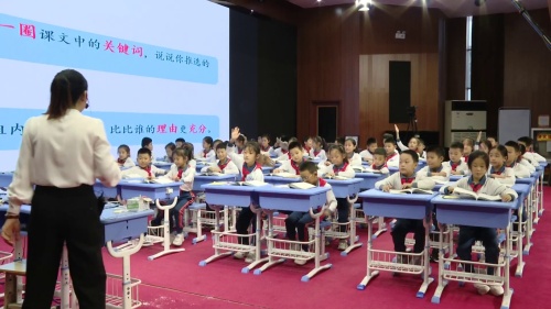 《大自然的声音》2025部编版三上语文江苏省25届小学语文青年教师优质课比赛特等奖视频