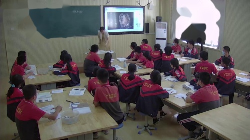 《物质的分类》人教版九年级化学上册公开课教学视频