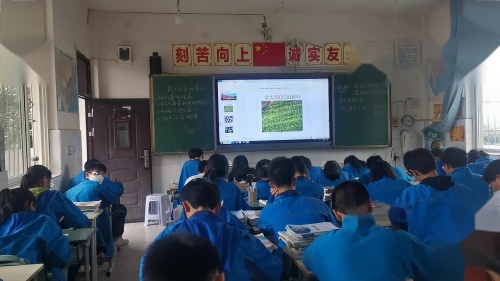 《NaOH变质问题的探究》2024人教版