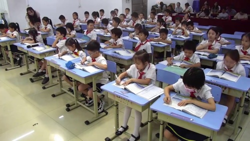 《树之歌》部编版二上语文2025新教材培训研讨课视频