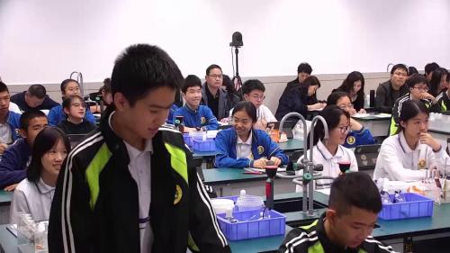 《利用手持技术解密复分解反应》20