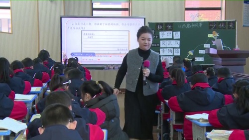 《纸船和风筝》部编版二上2024小语青年教师基本素养展示课视频