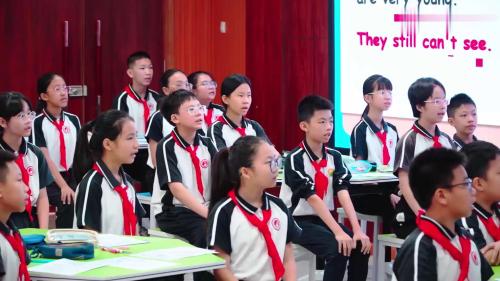 《The New Teacher 》2024小学五年级英语绘本展示课视频