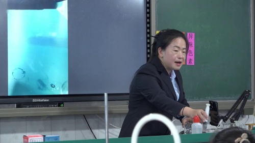 《元素》人教版九年级化学上册公开