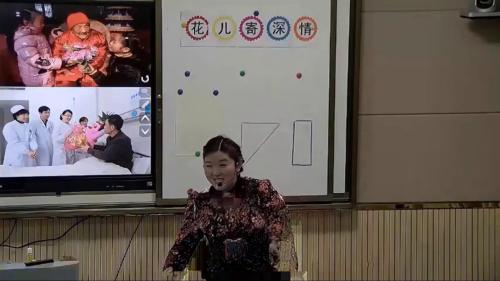 《鸟是人类的朋友》2024人教版一下