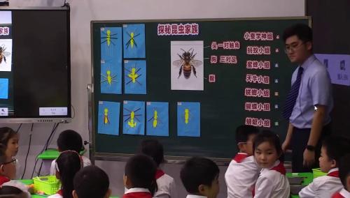 《冒泡排序 算法排序》小学年级信