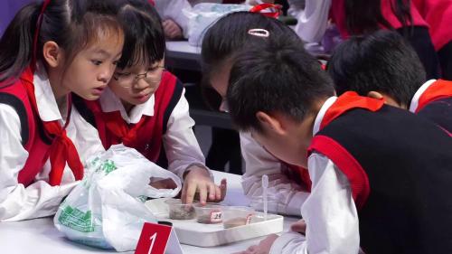 《保护土壤资源》2025冀人版四年级下册科学优质课展示活动-上海