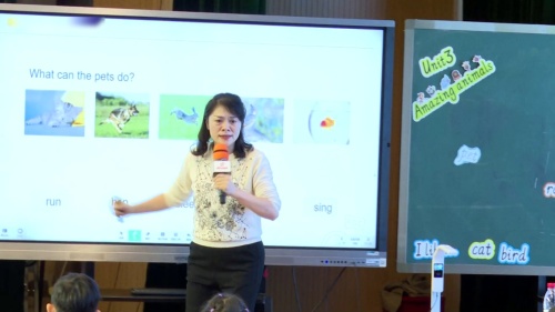 《Unit 2 Different families.B. S