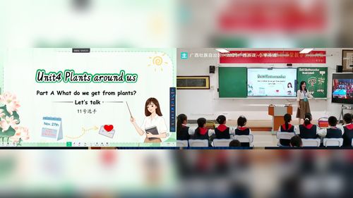 《Unit 3 0ur animal friends part