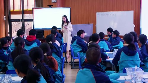 《制作微型密度仪》人教版九年级物