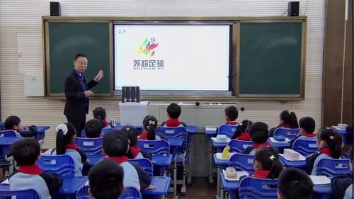 《数据分类》人教版二年级数学2025名师观摩研讨课视频