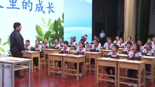 《辩论》部编版六下语文2025成都第六届小学语文青年教师优质课竞赛课视频