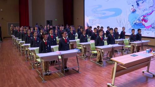 《芦花鞋》部编版四上语名师观摩研讨课视频