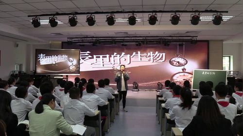 《少年闰土》版本六上语文2025课文教学实录视频