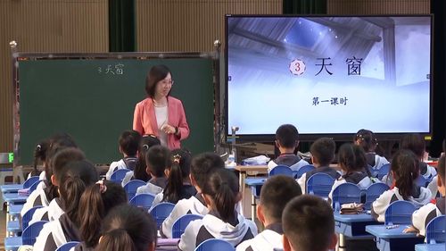 《琥珀》部编版四下语文2025素养大赛优课视频