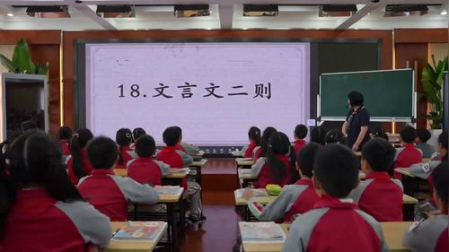 《囊萤夜读》部编版四下语文2025小学语文教师素养赛课一等奖优课视频