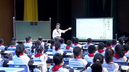 《奇妙的想象》部编版三下蜀山区小学语文2025公开课视频