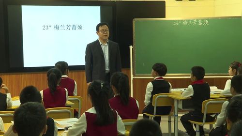 《黄山奇石》部编版四上语文2023年七彩语文第九届语文教师素养比赛赛课视频