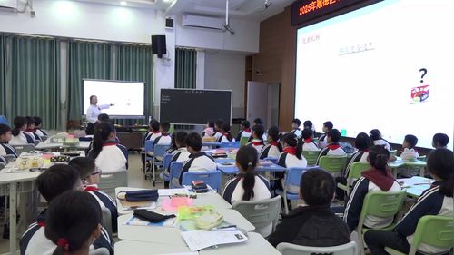 《什么是面积》北师大版三下数学20