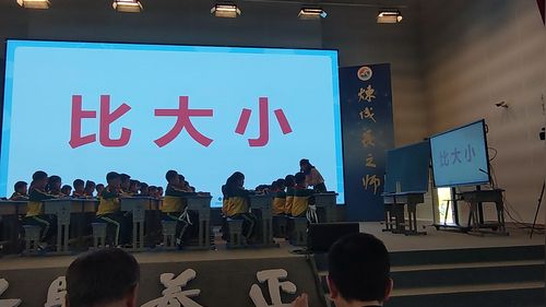 《数据的整理和表示-小小鞋店》北