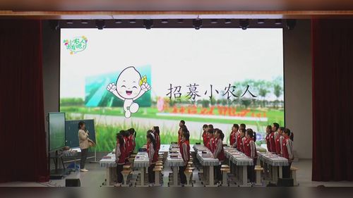 《我们的食物之源》部编版四下道德