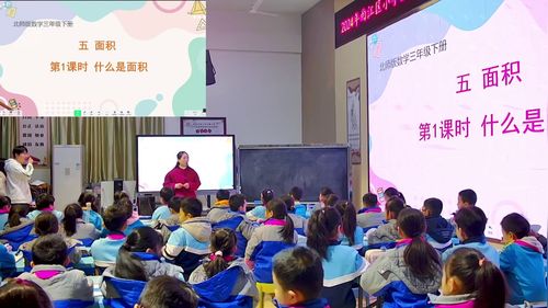 《什么是面积》》北师大版三下数学