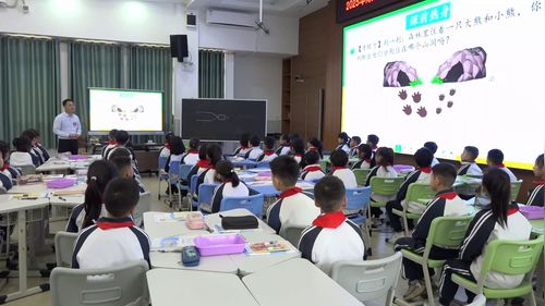 《一部分是多少》北师大版三下数学