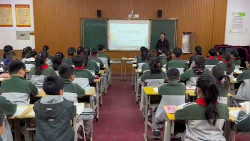 《单价、数量与总价》人教版四年级数学名师展示课视频