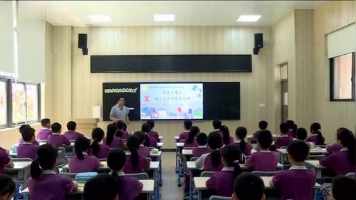 《平均数的再认识》人教版四下数学