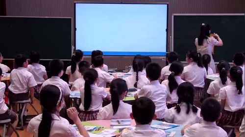 《认识面积》北师大版三下数学 202