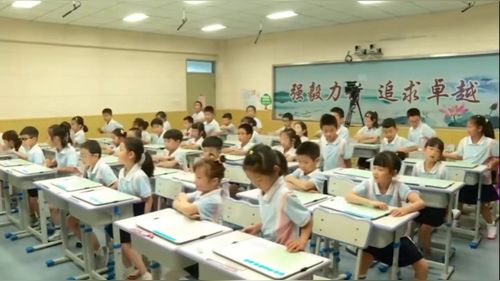 《几个几相加》苏教版二上数学深研