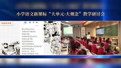 《三国演义——推进课》部编版五下语文2025整本书阅读教学研讨课视频