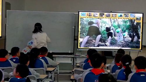 《Unit 5 Let’s go！ Start up》外研版四上英语2025展示课视频