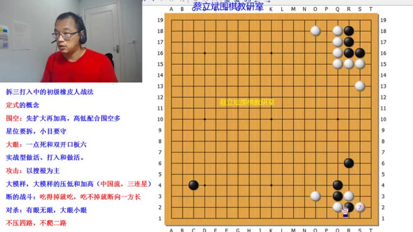 蔡立斌围棋段位速成课：从入门到实战精讲