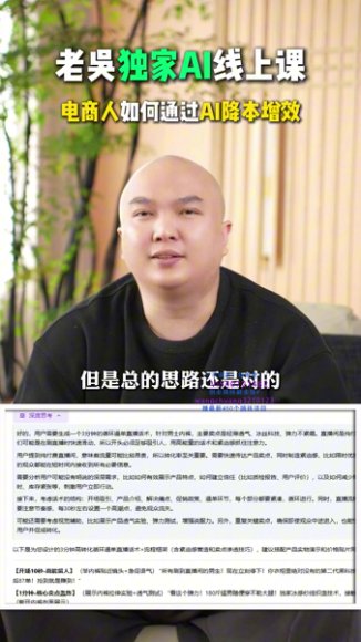 天诺老吴AI电商实战课：DeepSeek降本提效25讲