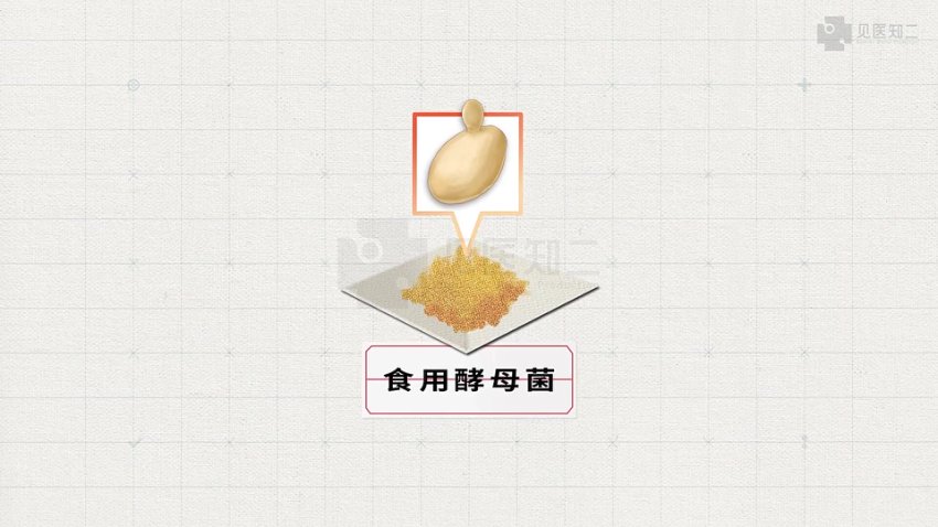 2025高考生物基因工程+跨膜运输+细胞呼吸专题精讲