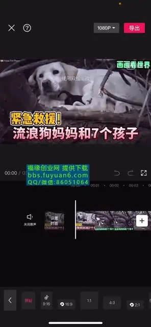 中视频计划：冷门蓝海项目实操指南，收益倍增秘籍