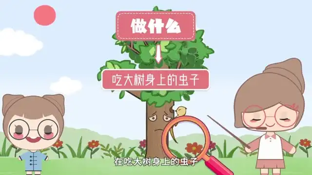 螺蛳大语文：小学作文全阶段提升课程