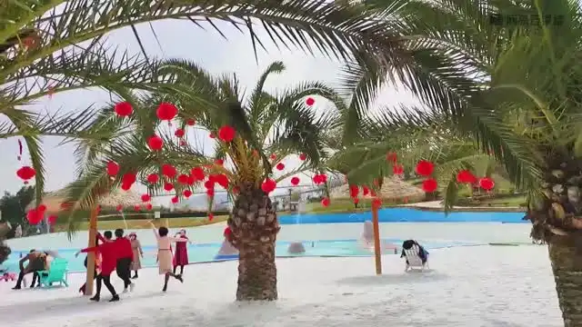 手机短视频拍摄与剪辑：从新手到专家