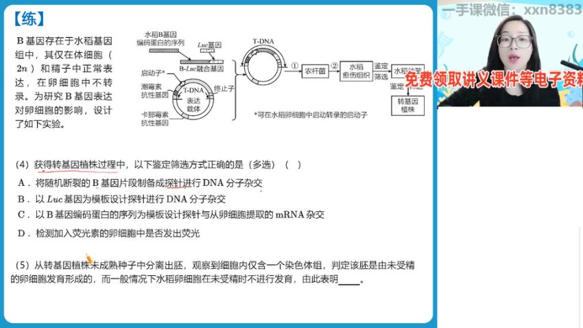 2024高二生物尖端寒假班（周云主讲·DNA技术+基因工程）