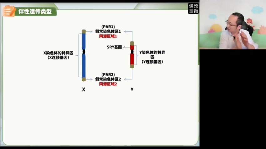 2024徐京高考生物点睛押题卷（全国各省卷+解析）
