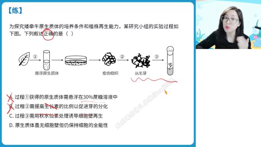 2024高二生物寒假特训班：周云A+基因工程与细胞工程专题突破