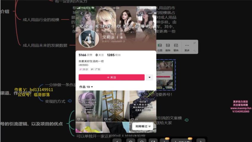 成人用品电商创业指南：新手月入数万秘籍