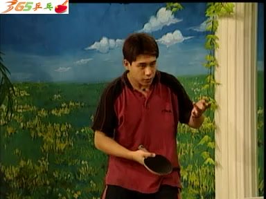 赵霞教你乒乓球入门：4集全攻略