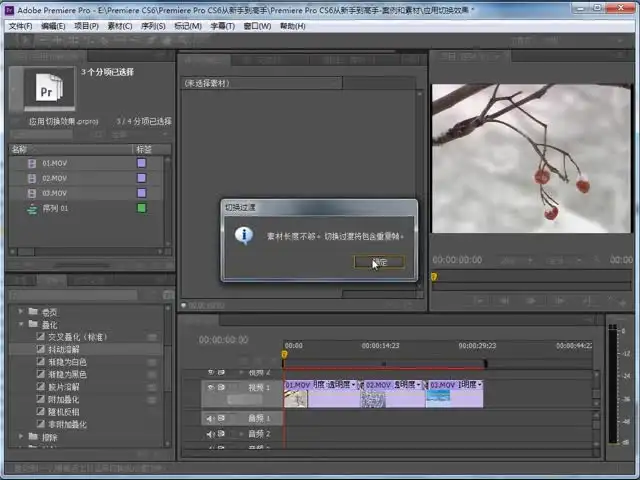 Premiere Pro CS6中文版教程：零基础到精通，附源码课件