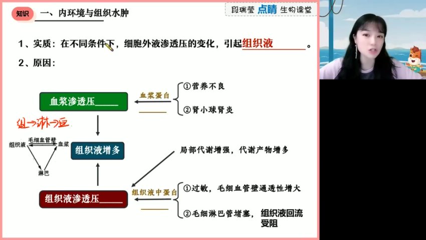 2024高三生物押题班：段瑞莹点睛冲刺
