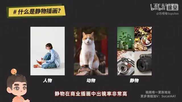 Procreate板绘入门到精通：从基础到创作的完整指南